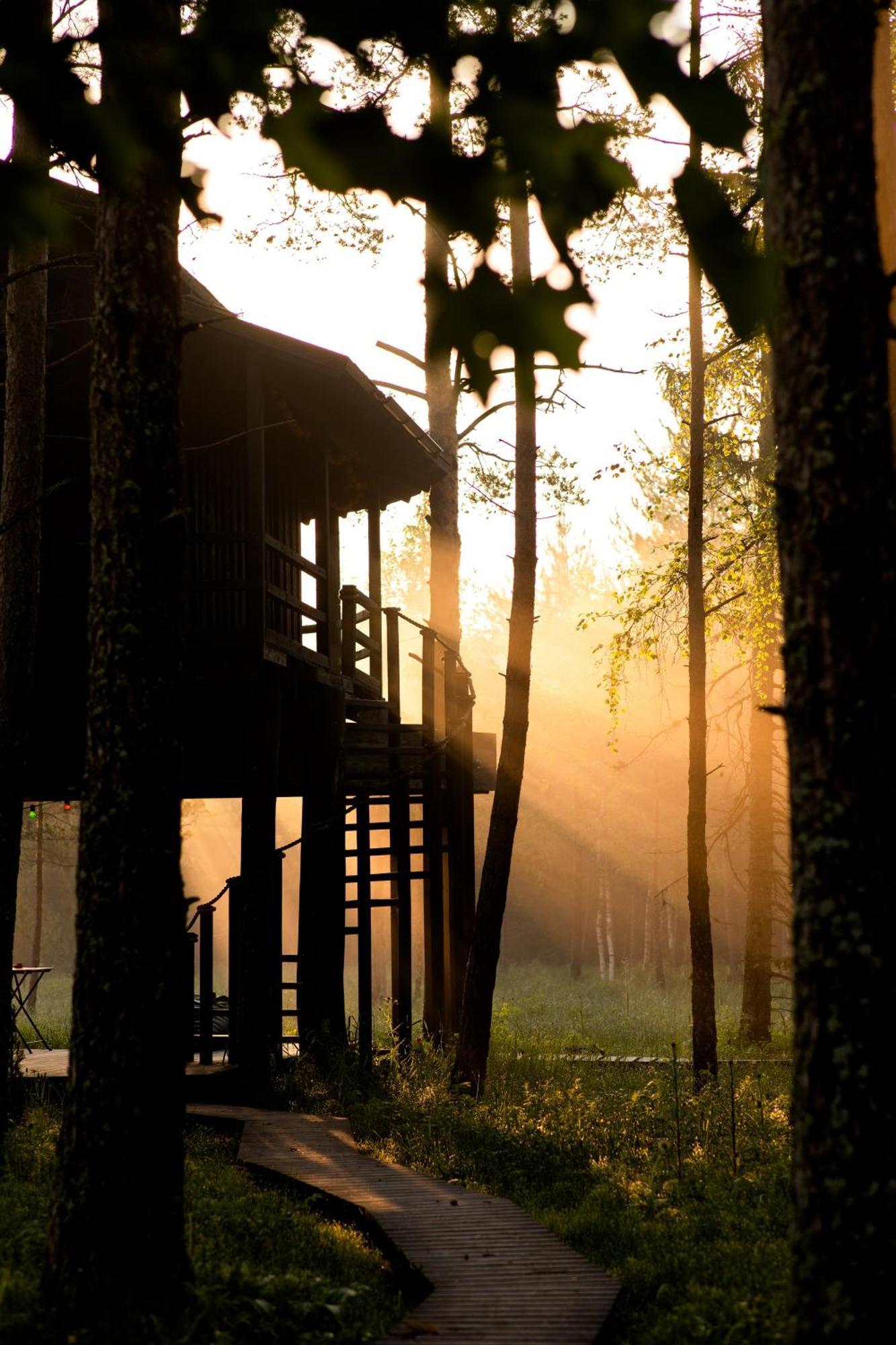 Sambliku Treehouse Vila Jogisoo Exterior foto